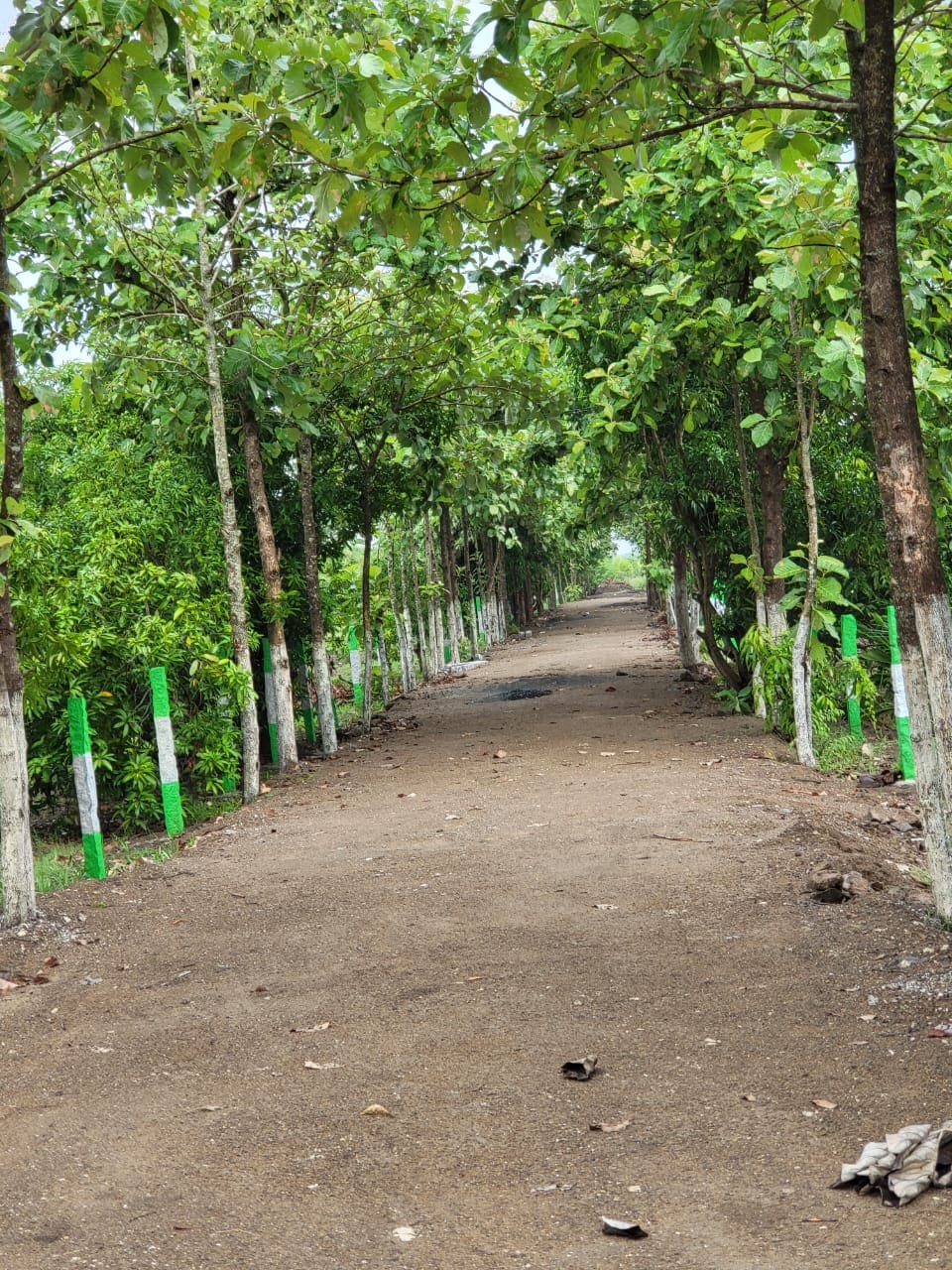 Kumaran Properties Farm Project